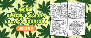 vina-slide-banner-4
